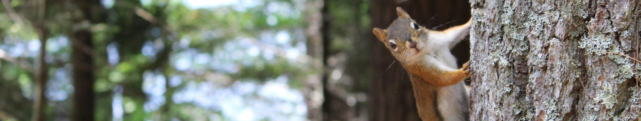 Reserveren en contact