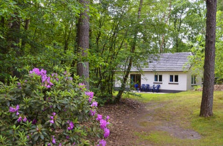 Eldorado bungalow luxe royaal