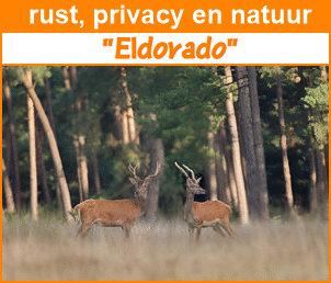 Eldorado